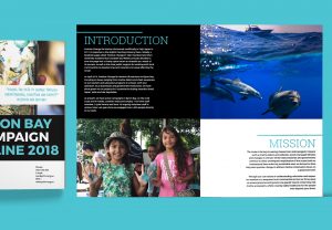 Booklet and brochure designed for positive change for marine life using creative design and layout. Australian non profit design.